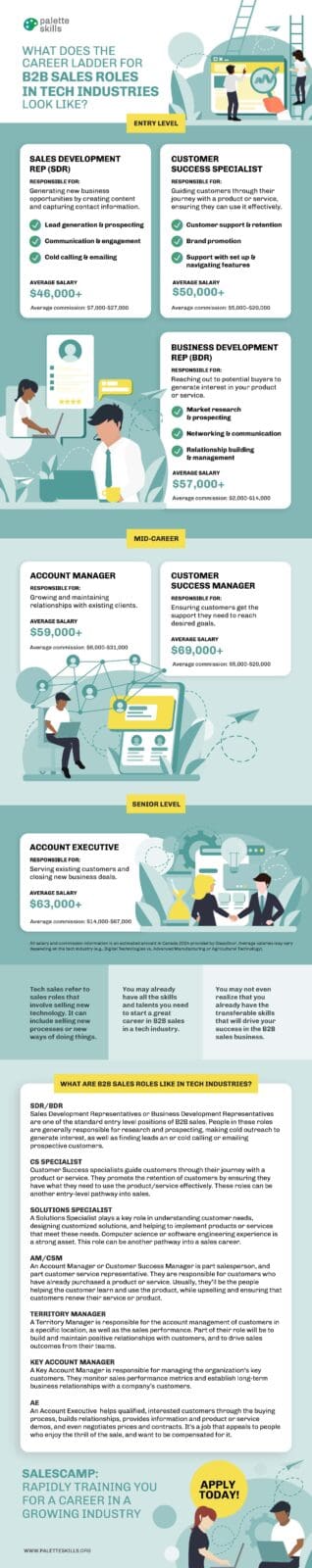 B2B Career Sales Ladder