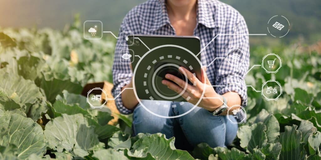 Technical stream:Automation & Digital Agriculture Program